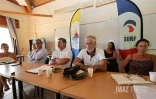 Fusion des dispositifs de sécurité contre le risque requin : la Ligue Réunionnaise de Surf alerte sur l’incertitude pour 2025