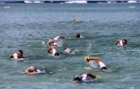 swimrun 2017 retour en images 