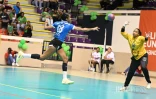 Handball : la Tamponnaise s'impose face au HBF Saint-Denis et conserve son titre