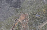 volcan