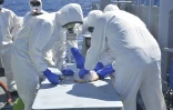 Opération maritime de lutte contre les narcotrafics