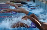 championnat de la réunion 2017