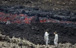 volcan février 2019