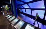Aquarium de La Réunion : une opération de rénovation lancée à partir de 2026