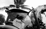 manifestation planteurs 