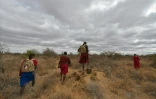 Des guerriers masaï à la recherche de lions dans la réserve de Selenkay, au Kenya, le 11 septembre 2016