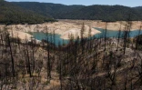 Les arbres calcinés qui se dressent le 25 mai 2021 sur les hauteurs du lac d'Oroville, dans le nord de la Californie, sont là pour rappeler les risques accrus d'incendie liés à la sécheresse