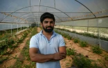 Devrim Tutus, horticulteur à Sanliurfa, dans sa serre dédiée à la culture de roses, le 16 mai 2022