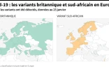 Covid-19 : les variants britannique et sud-africain en Europe