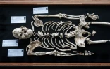 Une rproduction du squelette fossile de "Petit Pied" exposées aux grottes de Sterkfontein, le 15 avril 2025 à Krugersdorp, près de Johannesburg, en Afrique du Sud