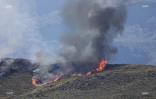 Incendie au Maïdo : la fumée visible de loin 