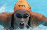 meeting natation 2017