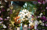 FLORILEGE 2025