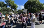 Manifestation à Saint-Pierre : quelques dizaines de personnes rassemblées 