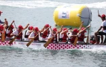 Dragon boats au port 2016