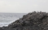 Attaque de requin au Port