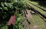 Ti Train de La Réunion