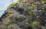 [PHOTOS] Grand Raid - Ils et elles sont allé(e)s jusqu'au bout du bout de l'effort