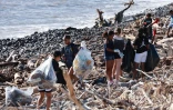 ramassage déchets après le cyclone 