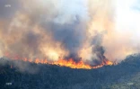 Feu du Maïdo