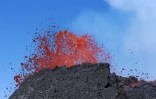 volcan 2015