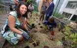 plan 1 million arbres La Possession au college Texeira da motta 