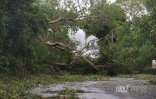 Cyclone Belal 