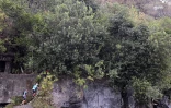 Grand Raid 2017 - Trail de Bourbon