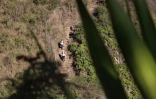 Grand raid