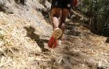 Grand raid 2014