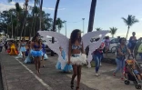 Saint-Paul : succès pour la fête de la mer et des littoraux