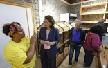 Bras Panon, Conseil départemental