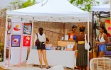 Garden Bazaar, un marché de créateurs péi s'installe à La Saline le 11 juillet