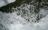 Eau