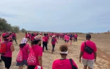 Odysséa : la vague rose déferle dans la forêt de l'Etang-Salé contre le cancer du sein