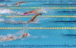 meeting championnat de la reunion 2018