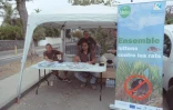 Saint-Paul : sensibilisation contre le prosopis sur le parking de la plage des brisants