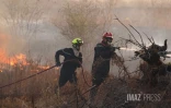 Dash 8 pour Feu de broussailles Ă Savannah Saint-Paul