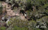 Grand raid 2025
