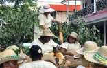 Le festival Kréol 2018 Seychelles