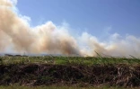 Feu de cannes à Sainte-Suzanne 31 août 2016