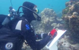 Des scientifiques étudient les récifs coralliens des I'Îles Eparses