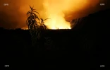 volcan 2005