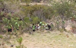 grand raid 2014 1