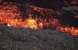 volcan février 2019
