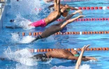 Natation 