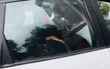 Chauffeur St André déféré 