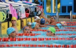 Meeting natation 2015