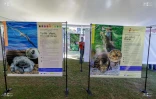 exposition "Histoire des Hommes et des espèces à La Réunion"