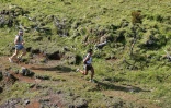 Grand Raid 2004